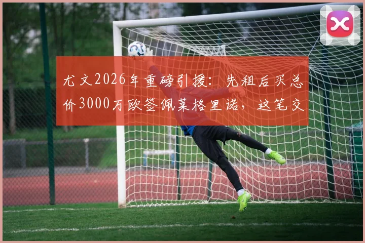尤文2026年重磅引援：先租后买总价3000万欧签佩莱格里诺，这笔交易到底值不值？技术特点全解析